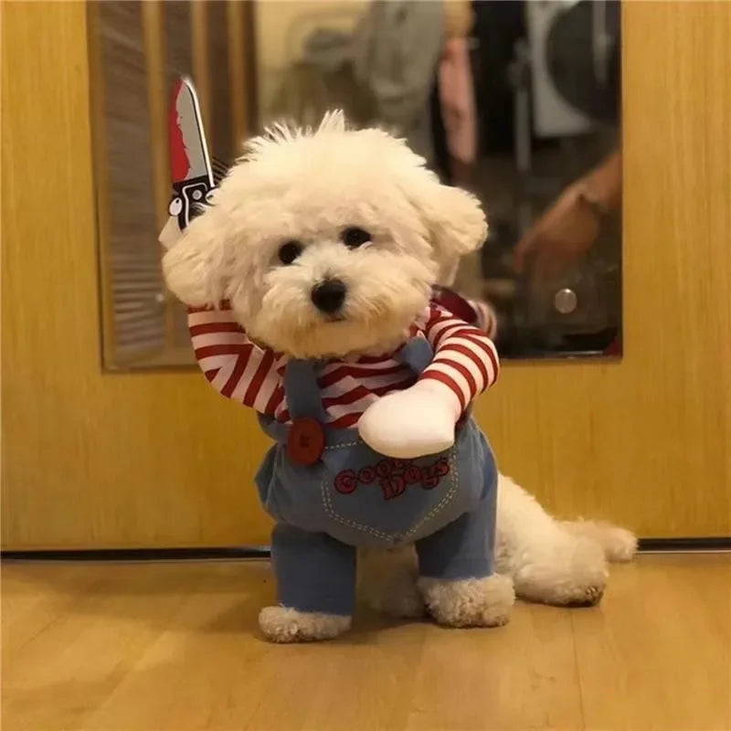 Funny Pet Costumes for Halloween