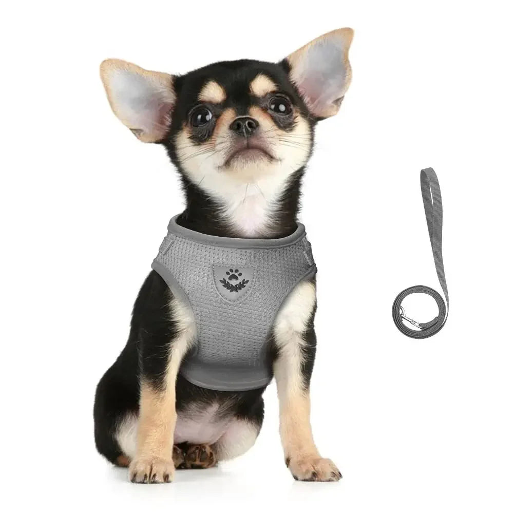 Adjustable Reflective Mesh Vest Harness & Leash Set for Cats & Small Dogs