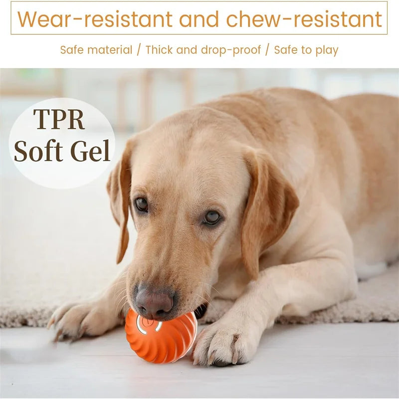 USB Rechargeable Smart Bouncing Ball for Dogs & Cats