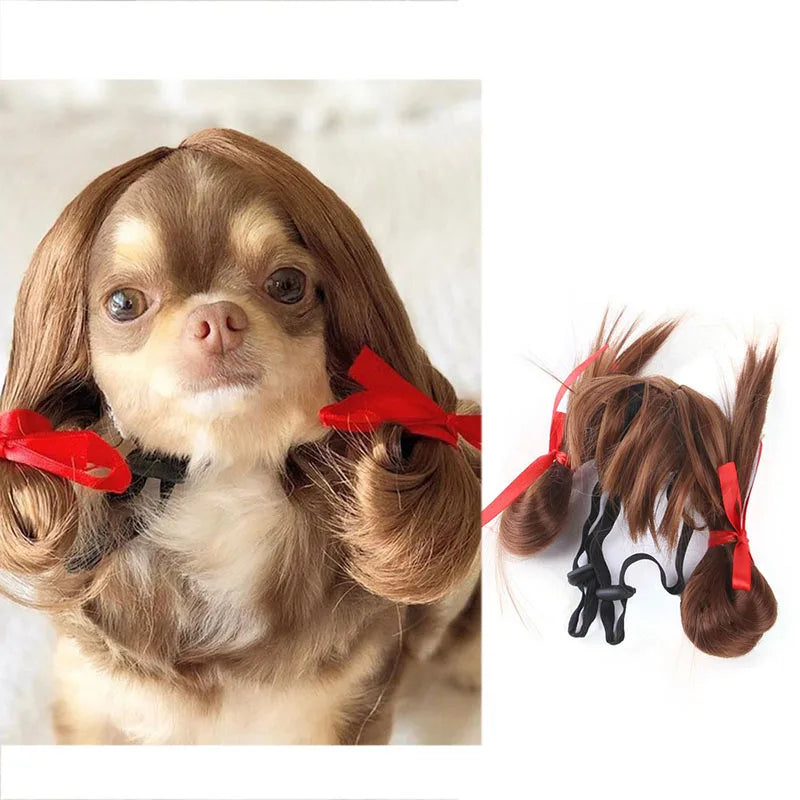 Pet Cosplay Wig & Hair Set for Dogs & Cats