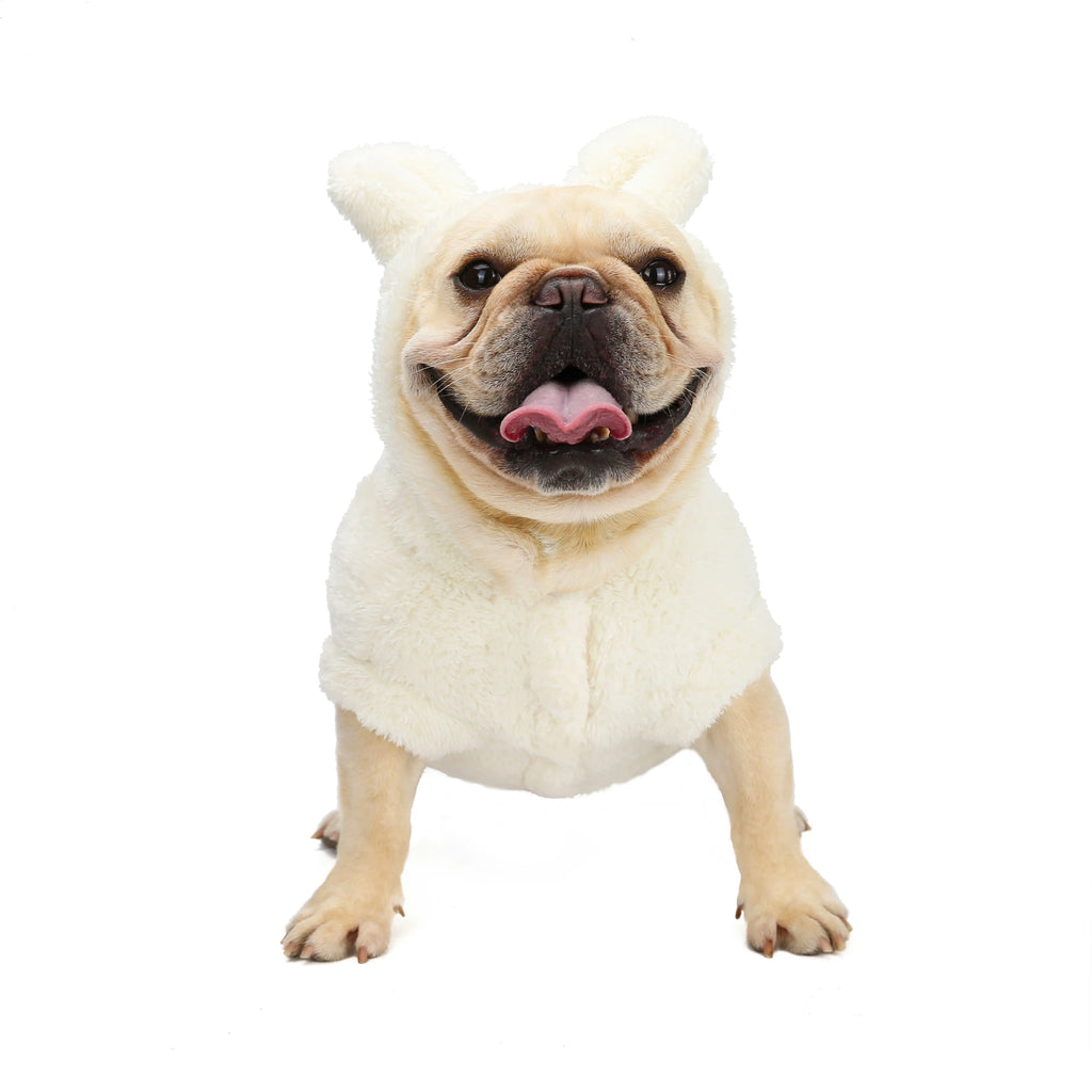 Fashionable Winter Dog Hoodie