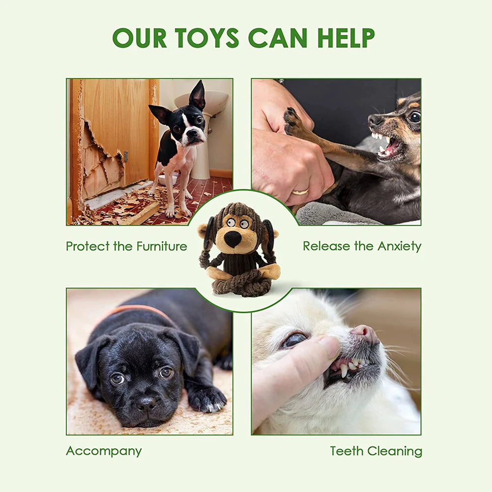 Squeak Pals – Plush Animal Squeaky Chew Toys for Puppies & Small Dogs