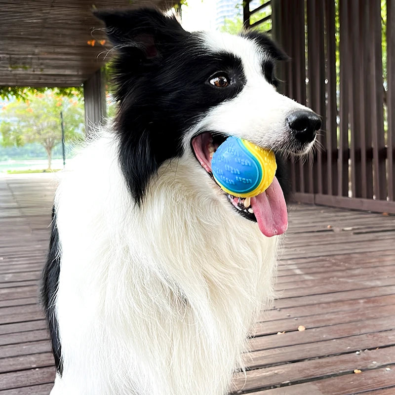 Bounce & Squeak – TPR Squeaky Ball Toy for Dogs