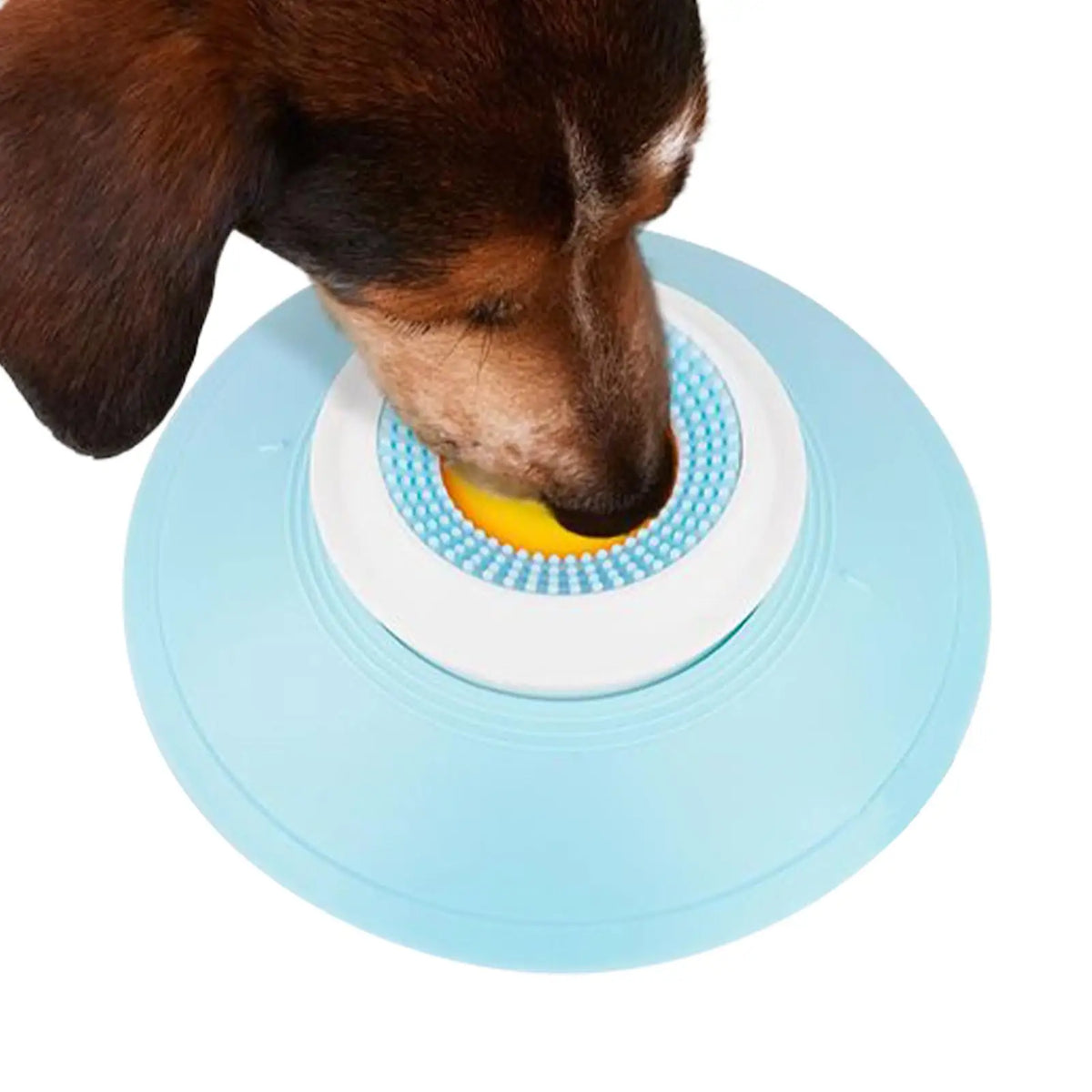 Interactive Feeding Toy