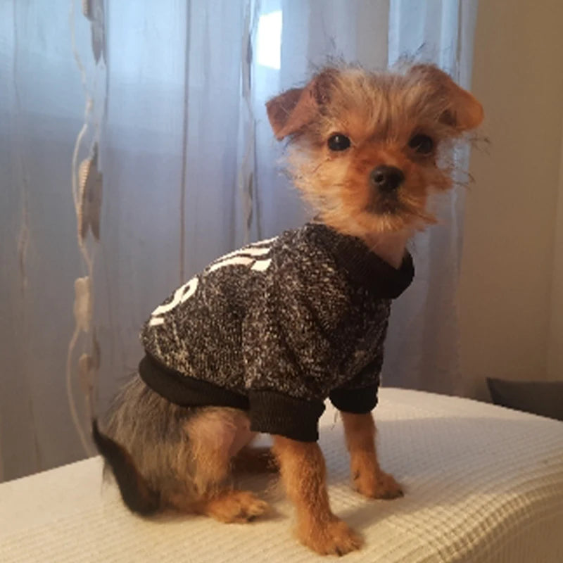 Luxury Dog T- Shirts for Small Breeds