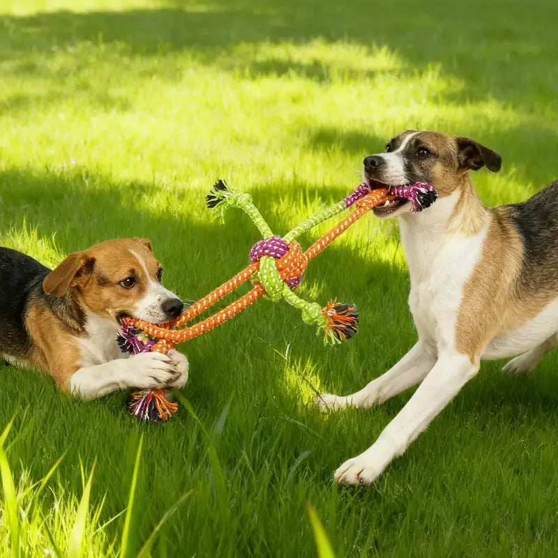 Durable Dog Rope Toy for Chewing & Teeth Cleaning