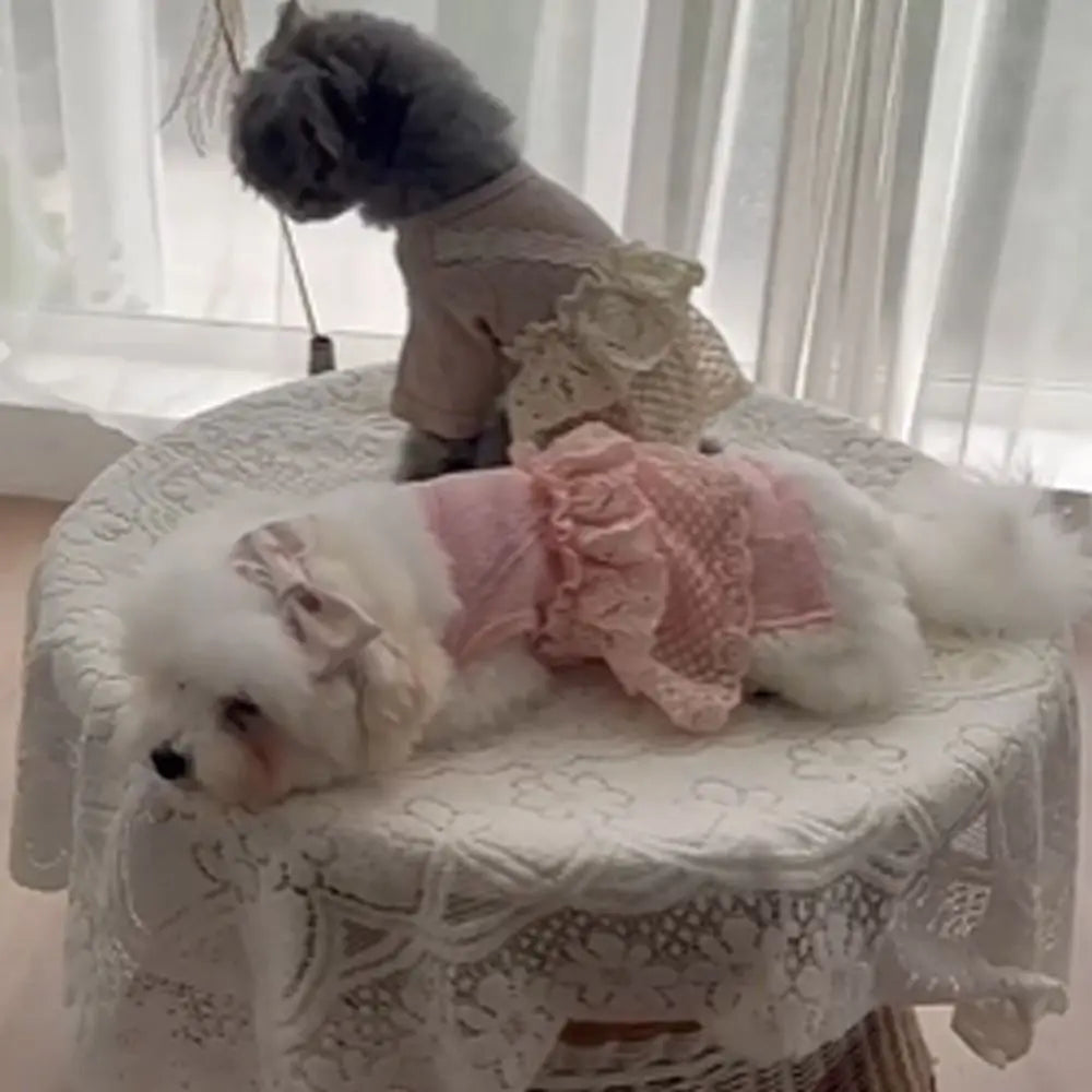 Waffle Lace Camisole Pet Jumpsuit