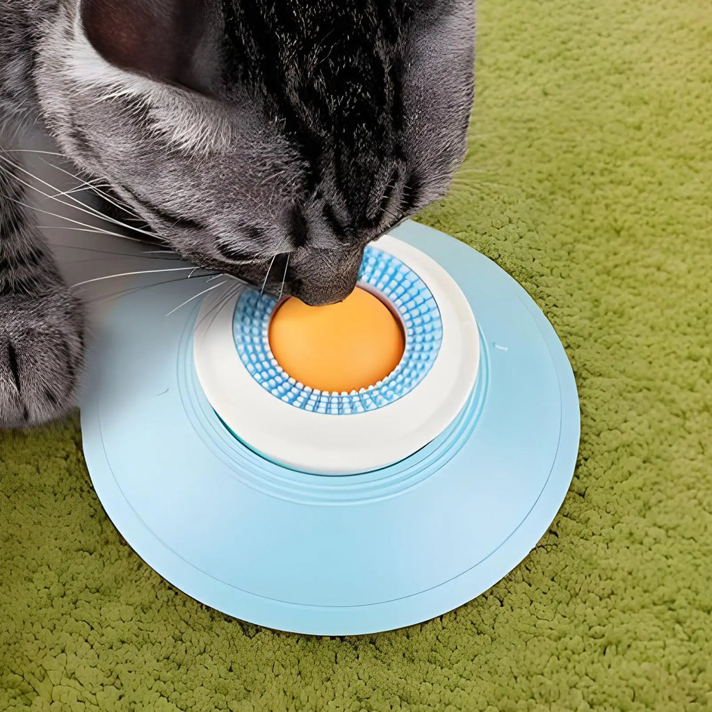 Interactive Feeding Toy