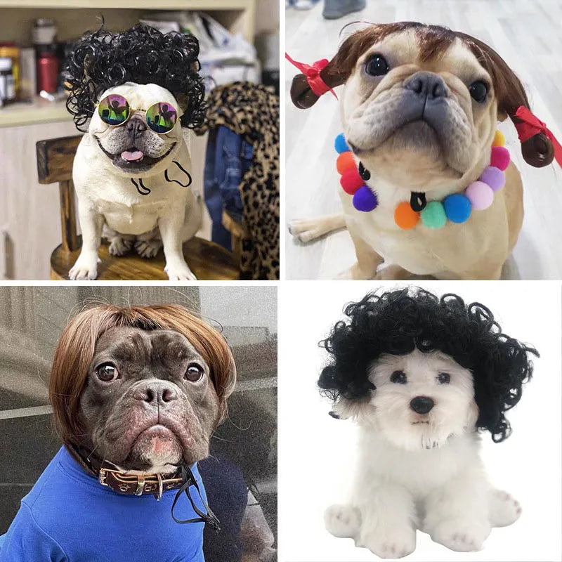 Pet Cosplay Wig & Hair Set for Dogs & Cats