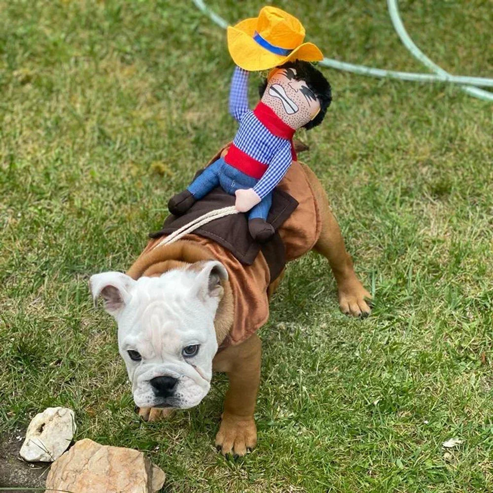 Cowboy Halloween Costume for Dogs & Cats