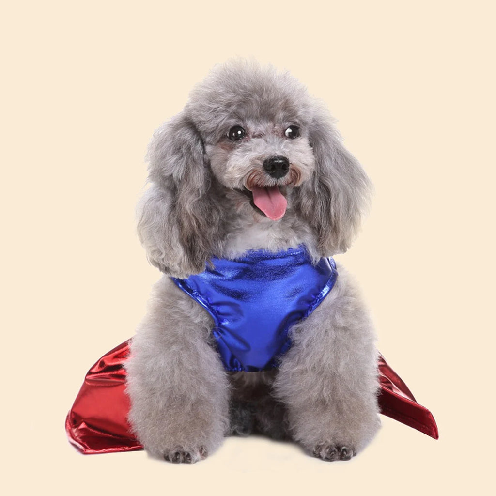 Super Dog Costume