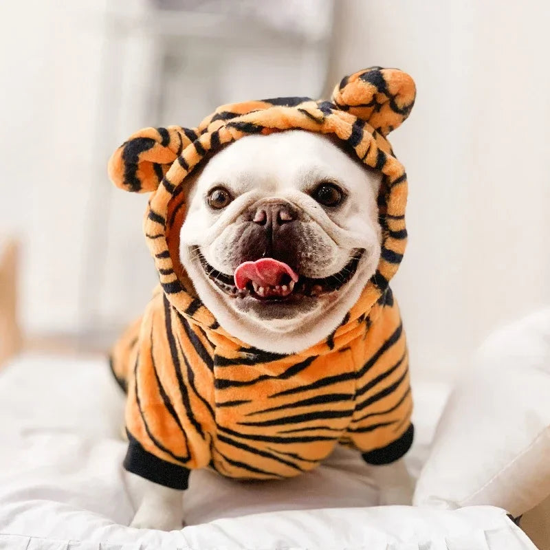 Halloween Costumes For Pets