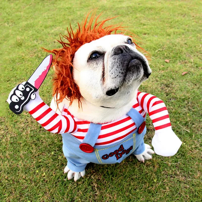 Funny Pet Costumes for Halloween