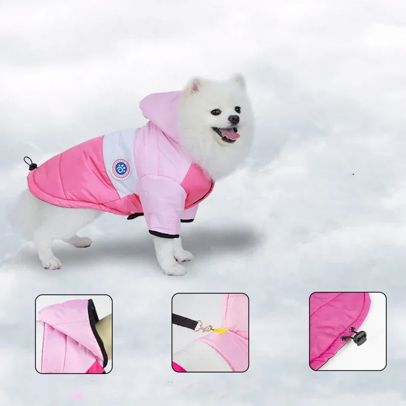 Fashionable Winter Pet Coat