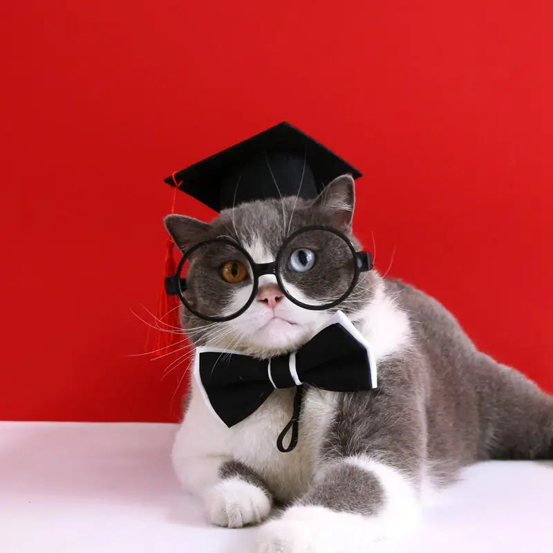 Cute Graduation Halloween Pet Costume Set with Glasses, Hat, and Bowtie