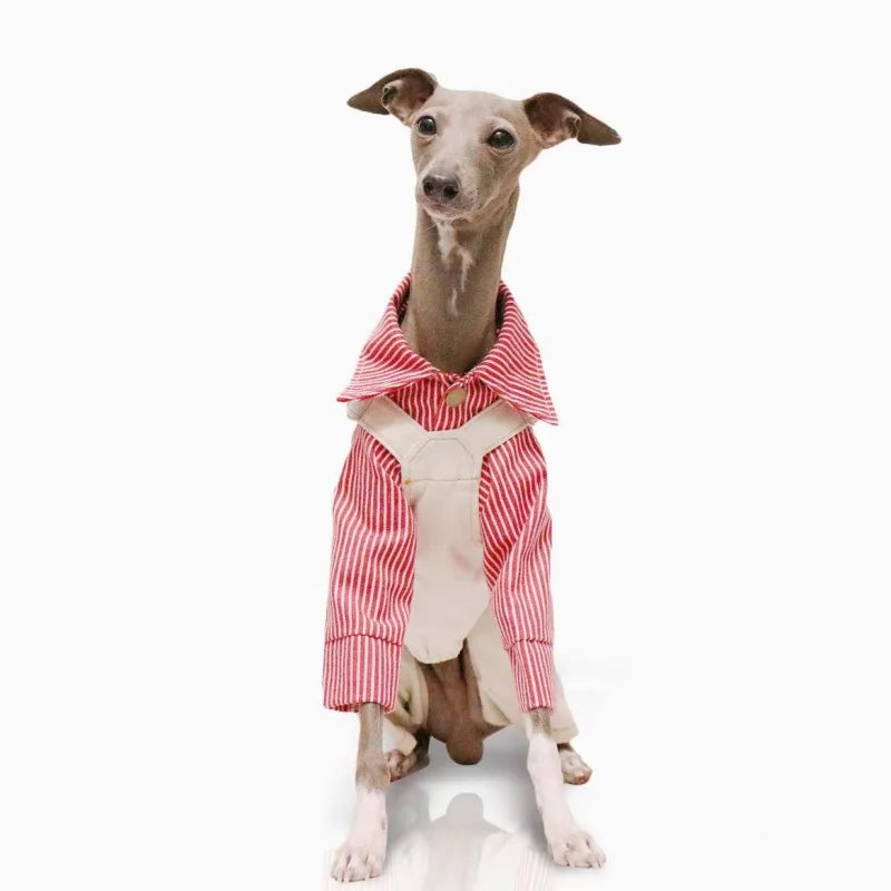 Denim Overalls for Greyhounds & Whippets – Spring, Autumn & Winter