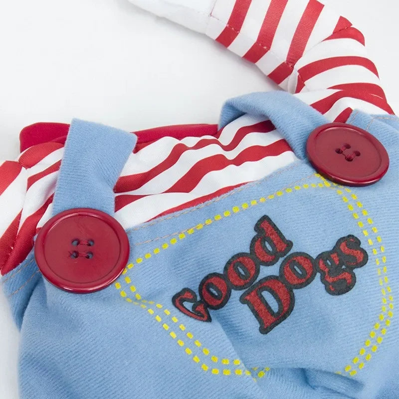 Funny Pet Costumes for Halloween