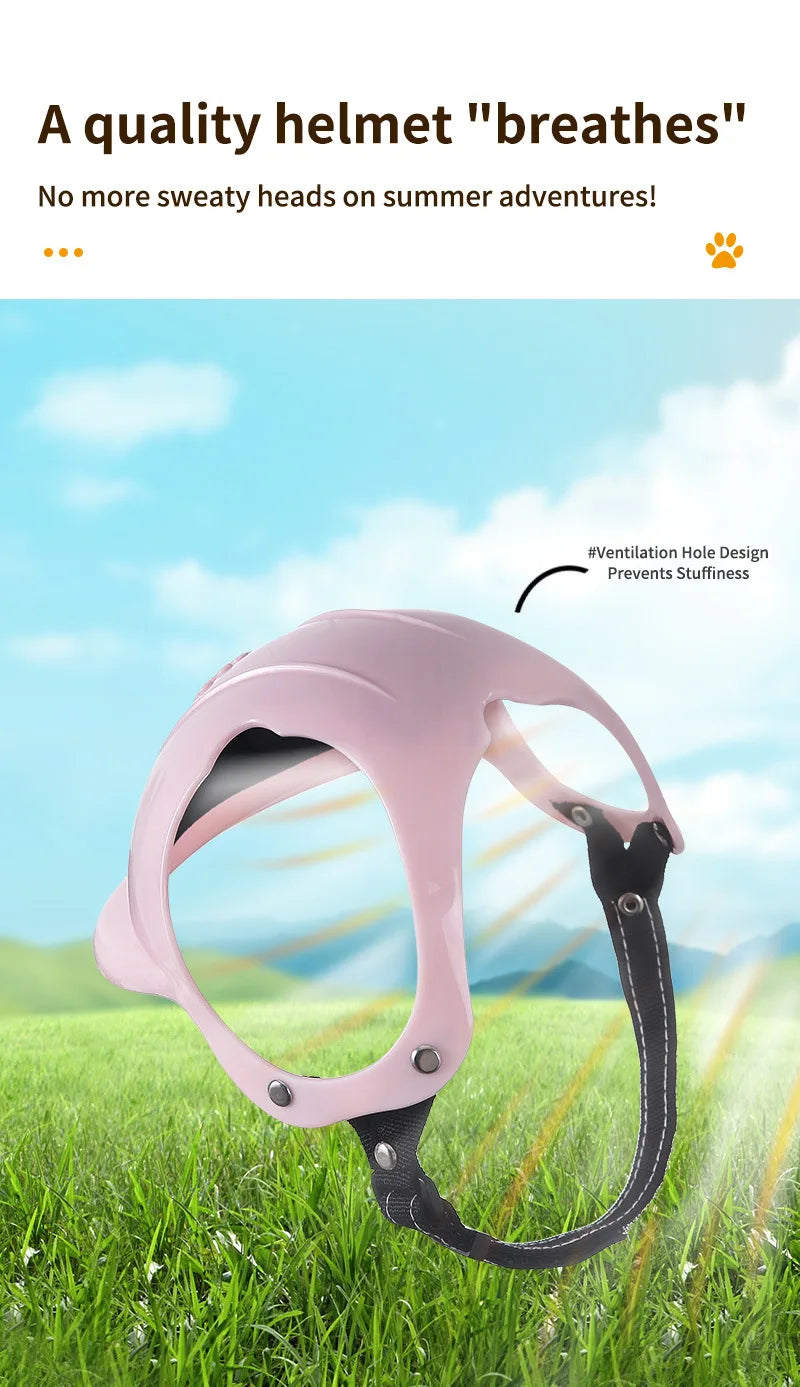 Pet Motorcycle Helmet
