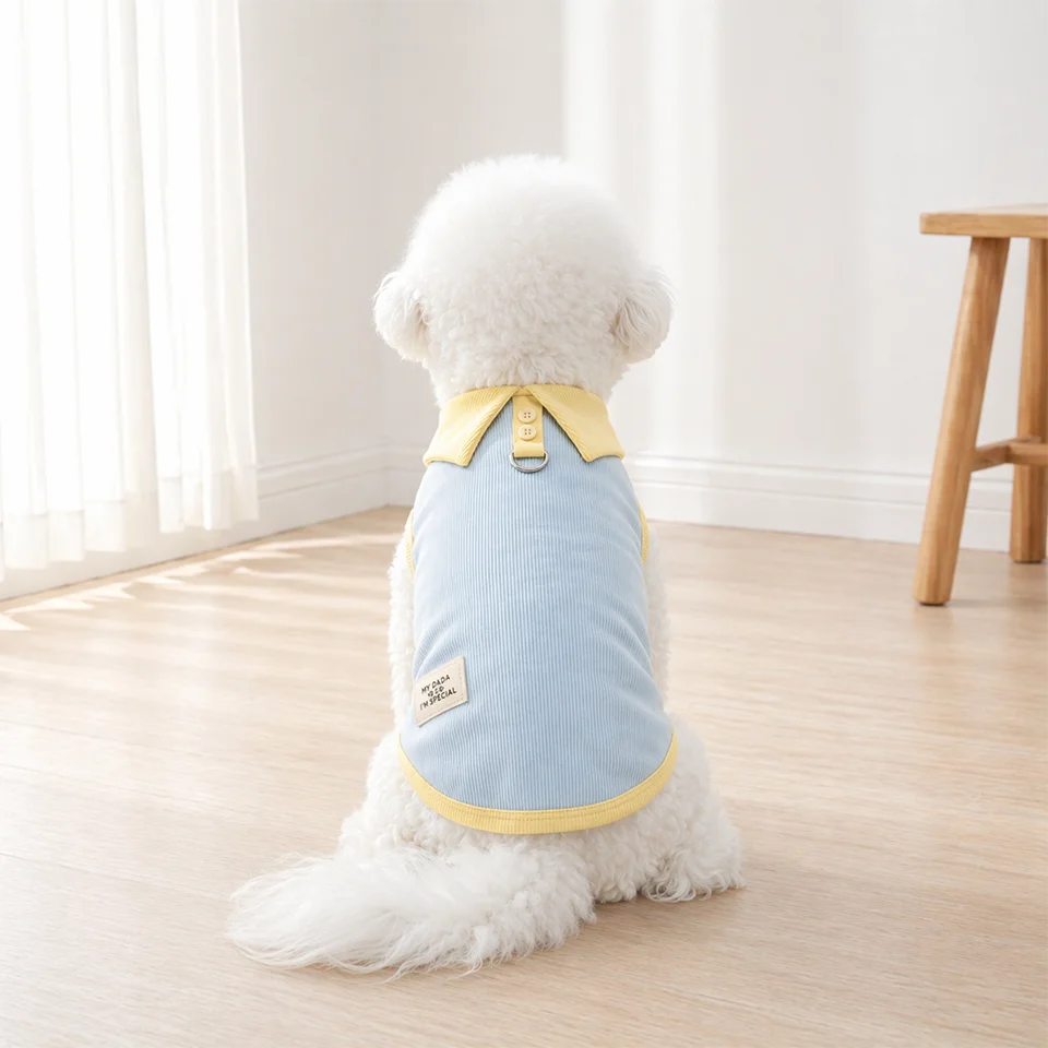 Spring Dresses for Pets