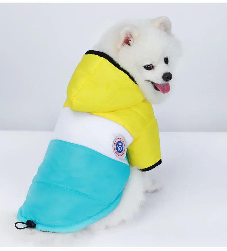 Fashionable Winter Pet Coat