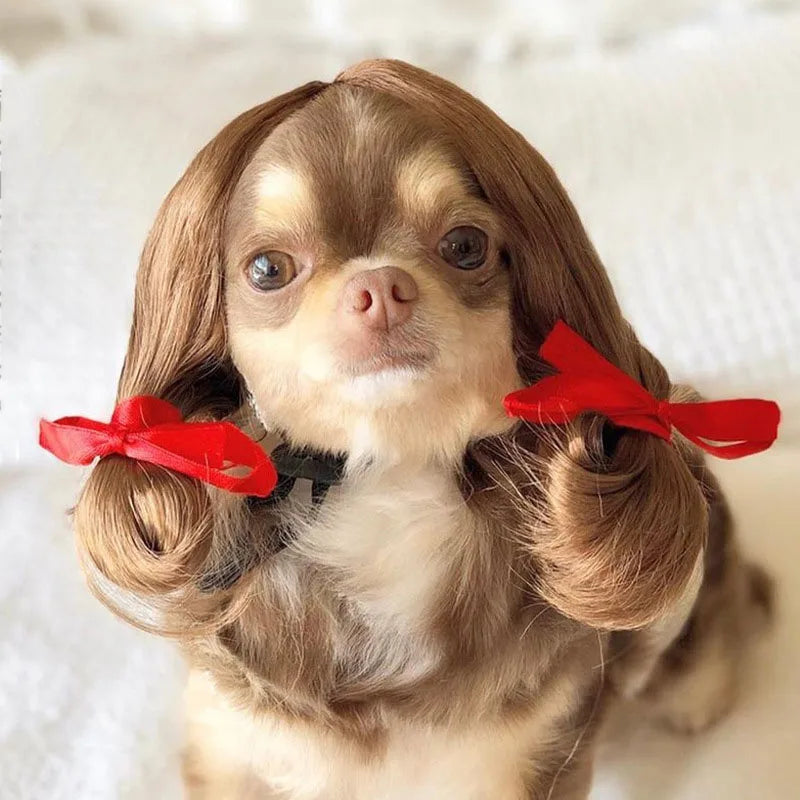 Pet Cosplay Wig & Hair Set for Dogs & Cats