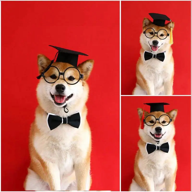 Cute Graduation Halloween Pet Costume Set with Glasses, Hat, and Bowtie