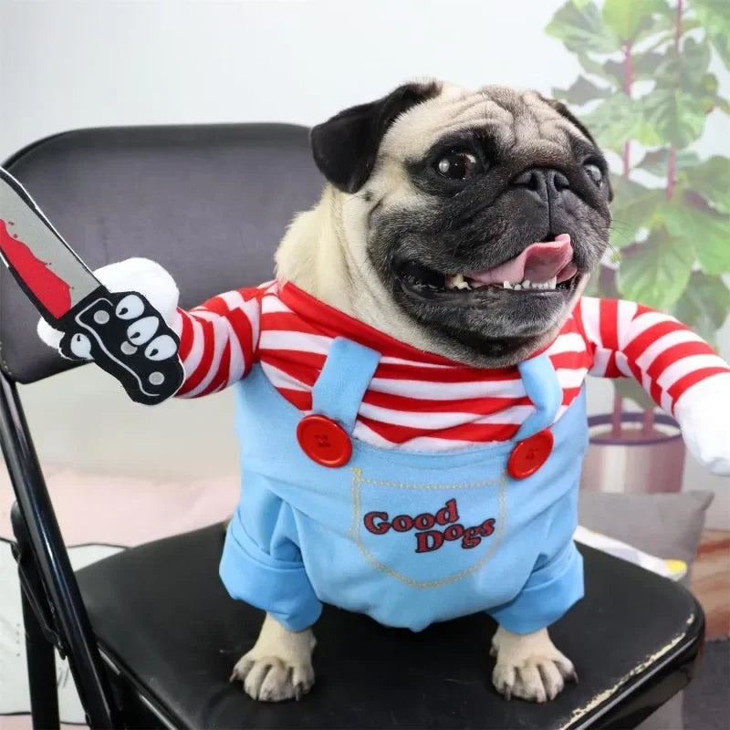 Funny Pet Costumes for Halloween