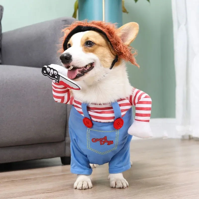 Funny Pet Costumes for Halloween