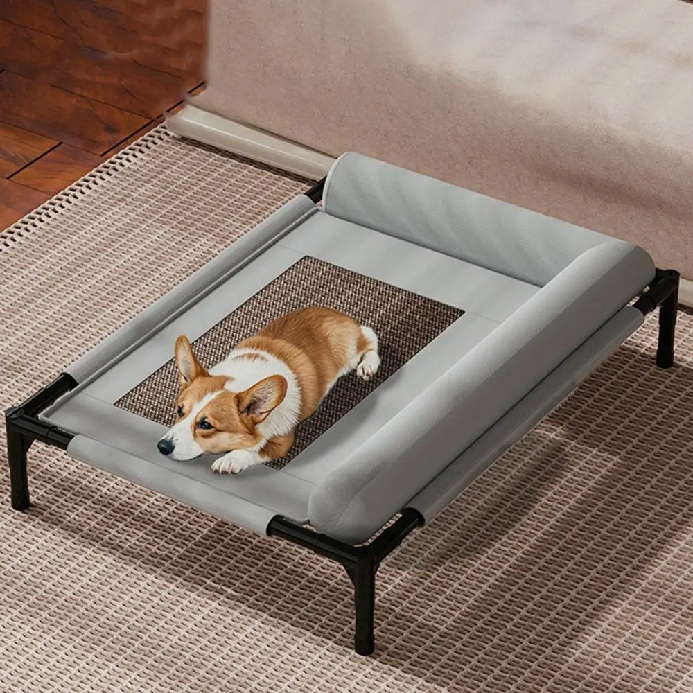 Raised Dog Bed with Pillow