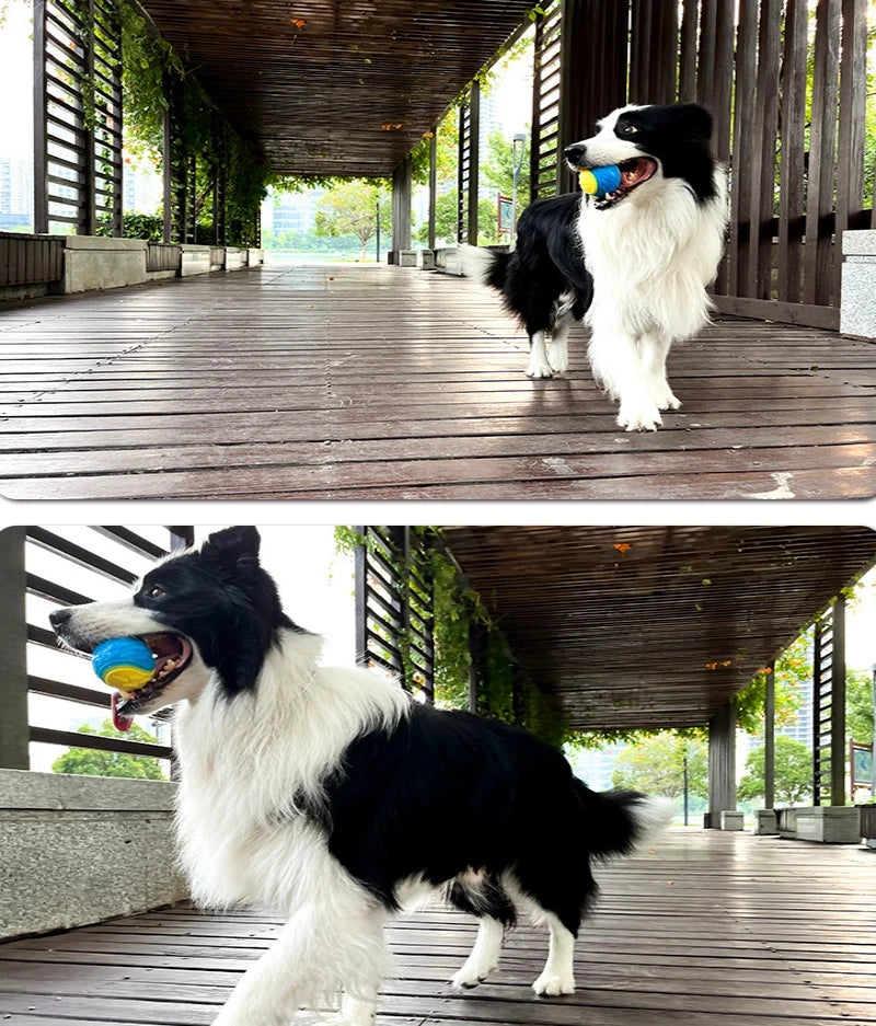 Bounce & Squeak – TPR Squeaky Ball Toy for Dogs