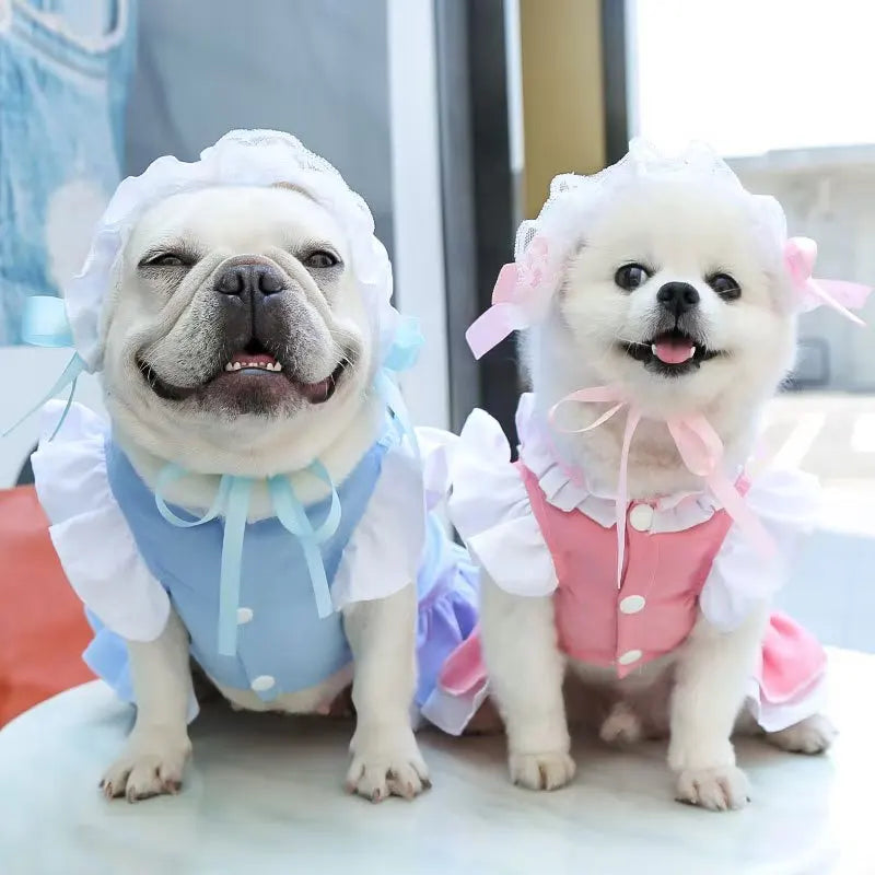 Maid Pet Dress with Leash Hook for Dogs & Cats