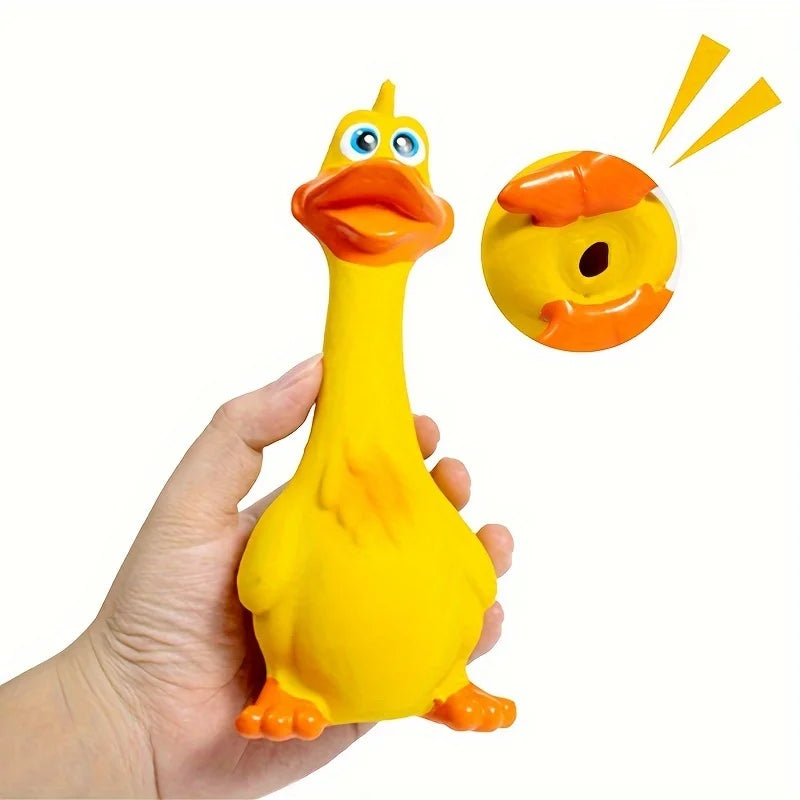 Squeaky Pet Toy