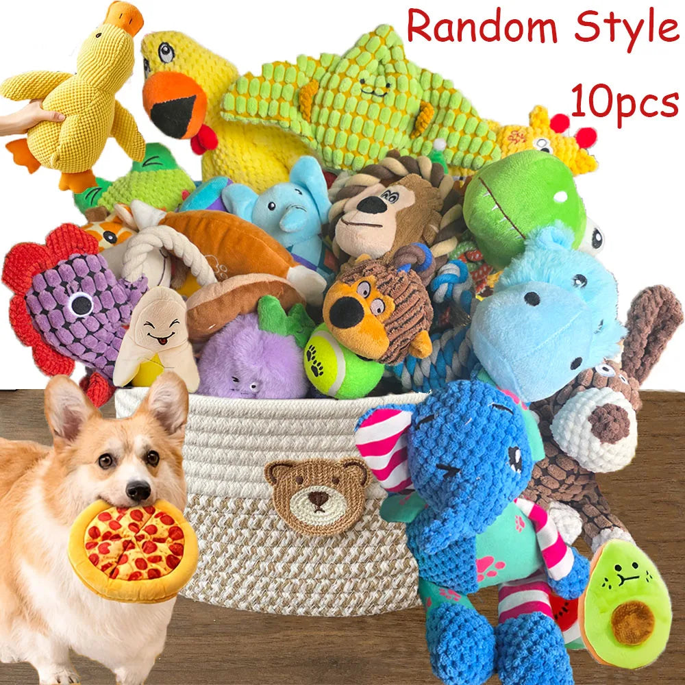 The Ultimate Toy Chest – 10-Piece Interactive Plush Cat Toy Set