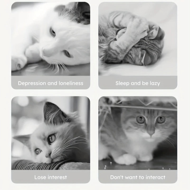 Nibble & Snack – Silicone Interactive Chew Toy for Cats & Dogs