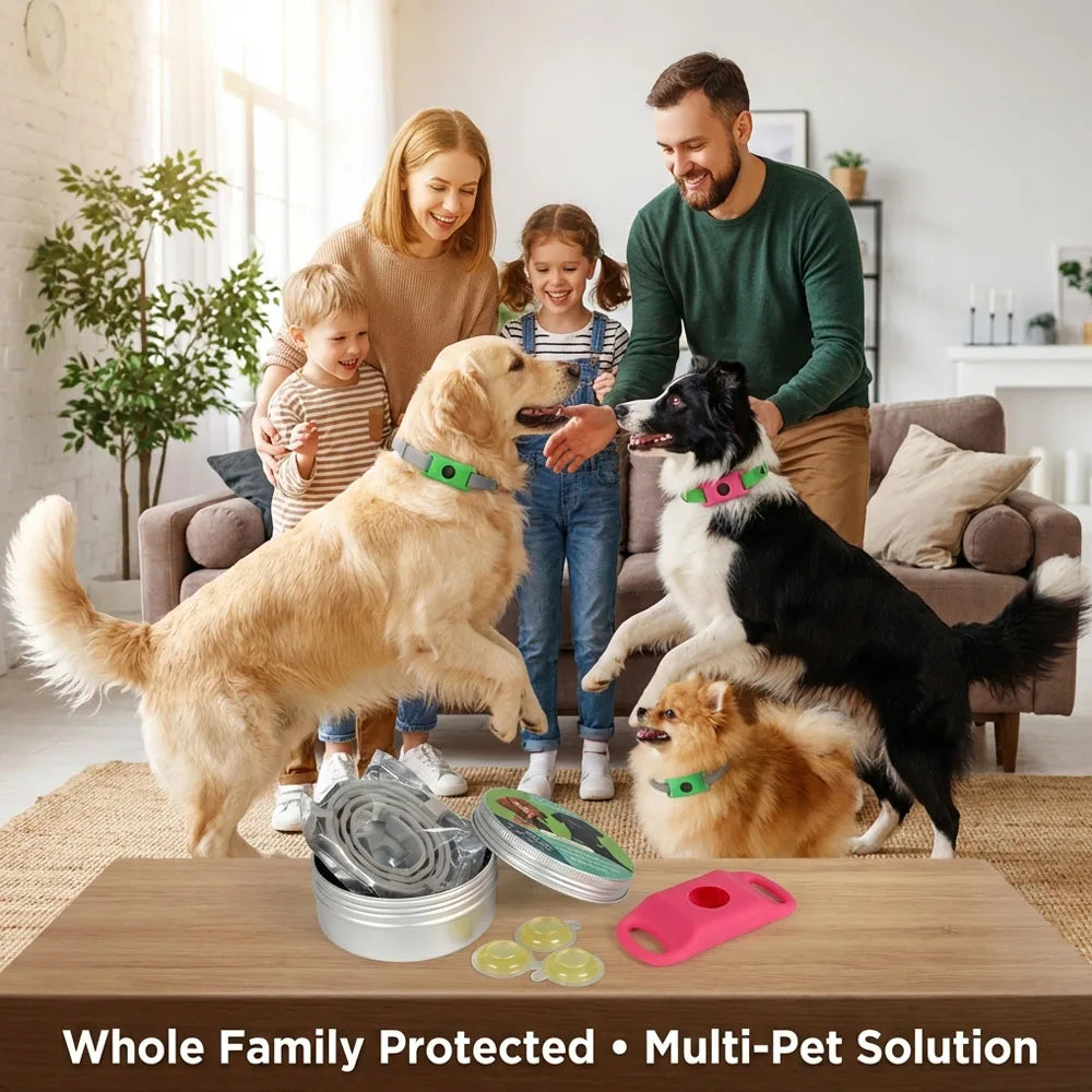 Natural Flea & Tick Protection Collar with Essential Oils