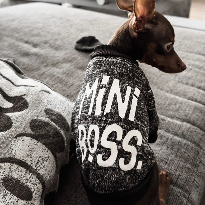 Luxury Dog T- Shirts for Small Breeds