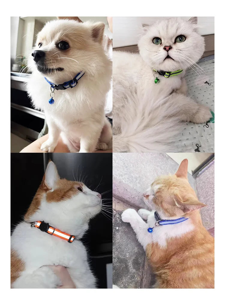 Reflective Breakaway Cat & Dog Collar with Bell
