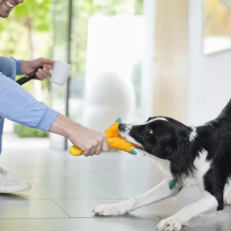 Squeak Squad – Stuffing-Free Plush Squeaky Dog Toy