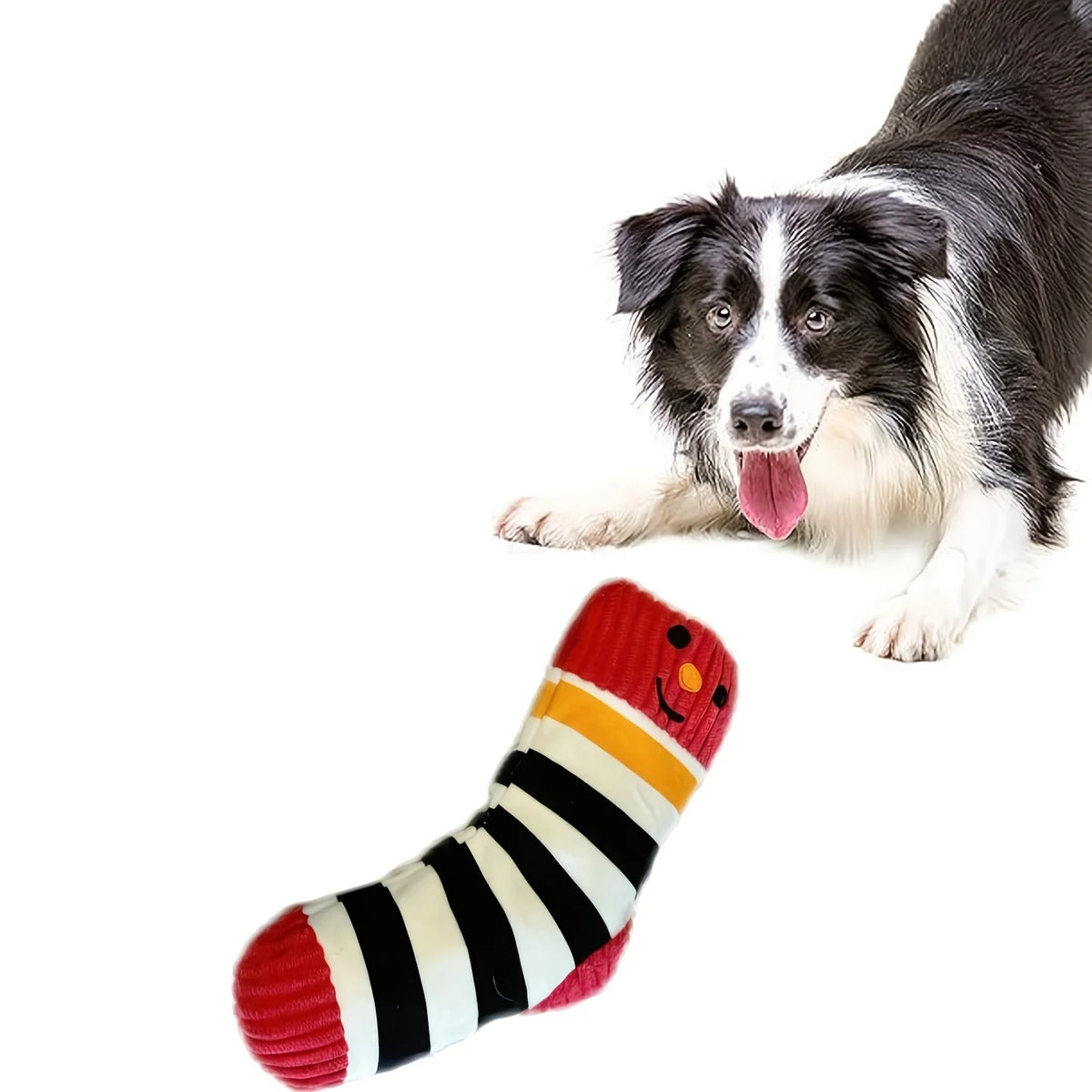 Silly Socks – Plush Cartoon Chew Toys for Dogs