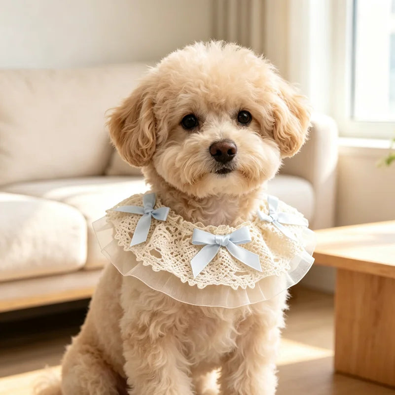 Cute Lace Princess Shawl For Dogs