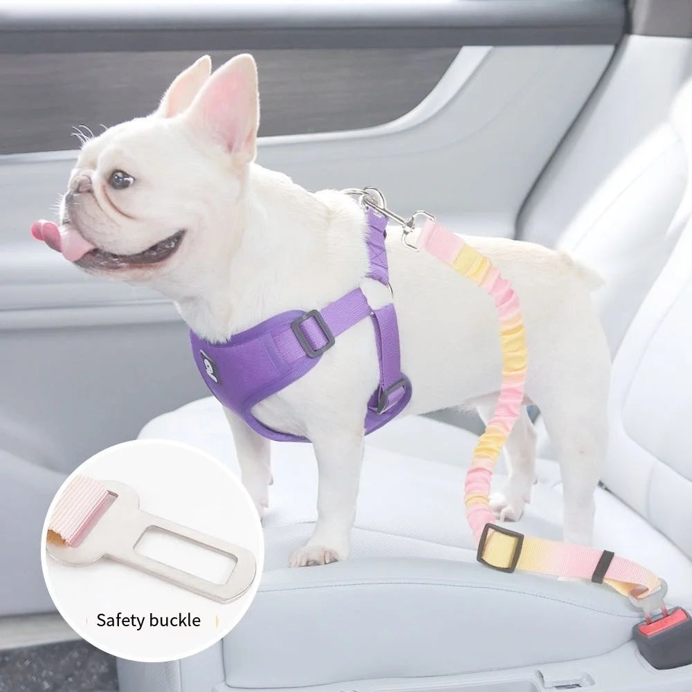 Pet Car Safety Belt & Seat Buckle for Dogs & Cats