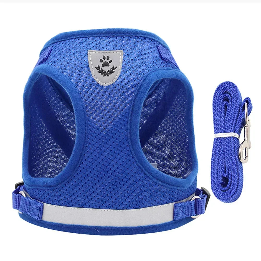 Adjustable Reflective Mesh Vest Harness & Leash Set for Cats & Small Dogs