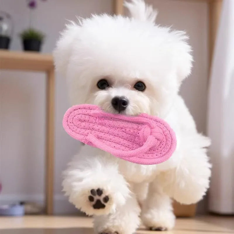 Chew Shoe – Slipper-Shaped Cotton Rope Chew Toy for Dogs