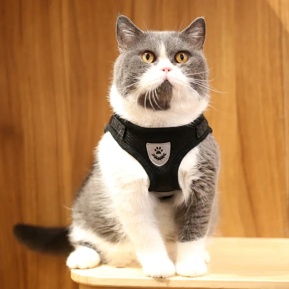 Adjustable Reflective Mesh Vest Harness & Leash Set for Cats & Small Dogs