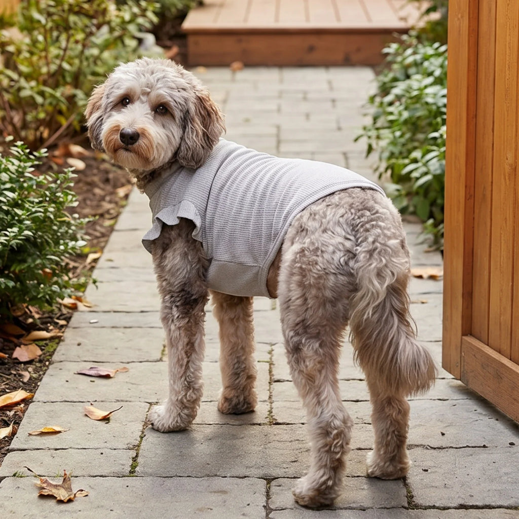 Cute Waffle Ruffle Sleeve Pet T-Shirt