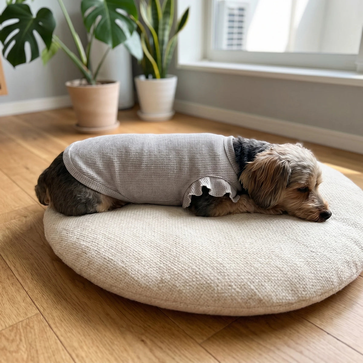 Cute Waffle Ruffle Sleeve Pet T-Shirt