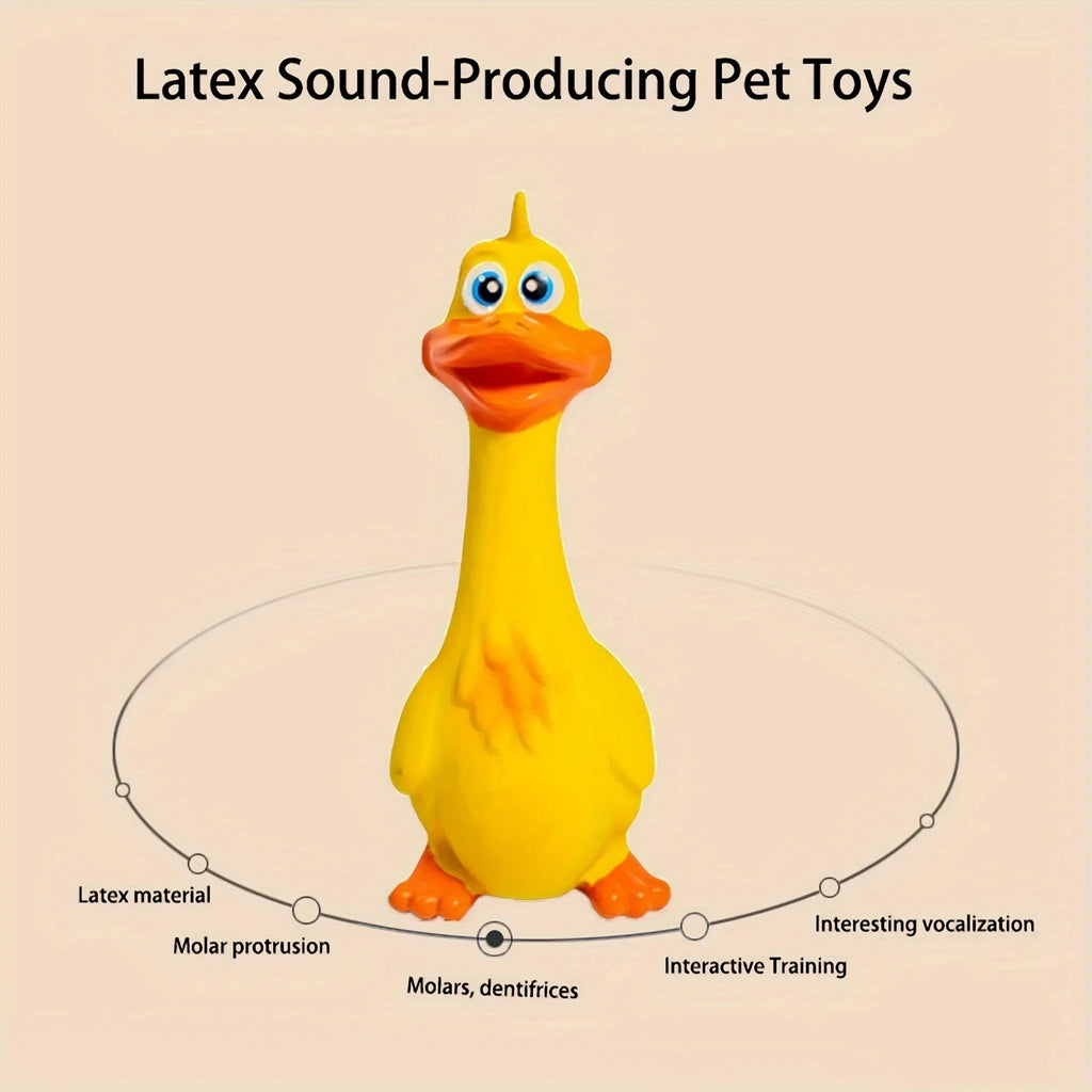 Squeaky Pet Toy
