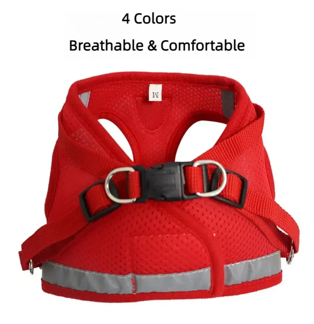 Adjustable Reflective Mesh Vest Harness & Leash Set for Cats & Small Dogs