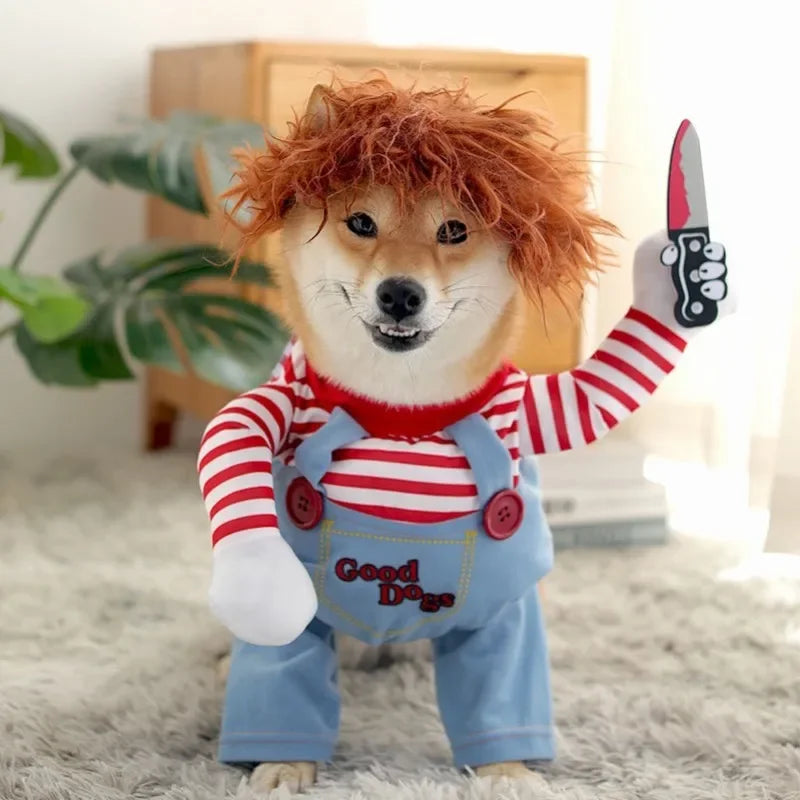Funny Pet Costumes for Halloween