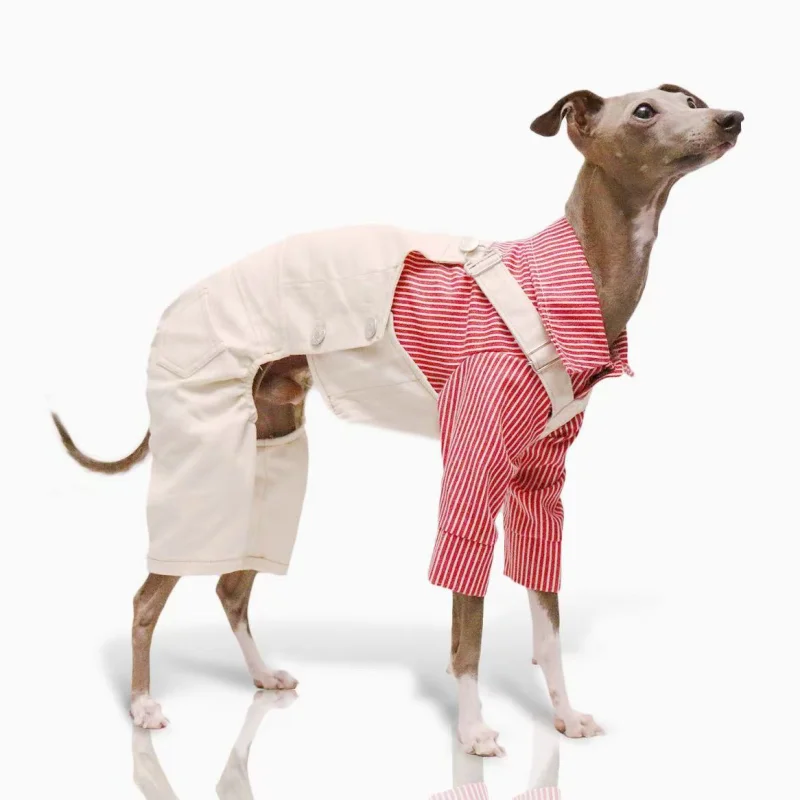 Denim Overalls for Greyhounds & Whippets – Spring, Autumn & Winter